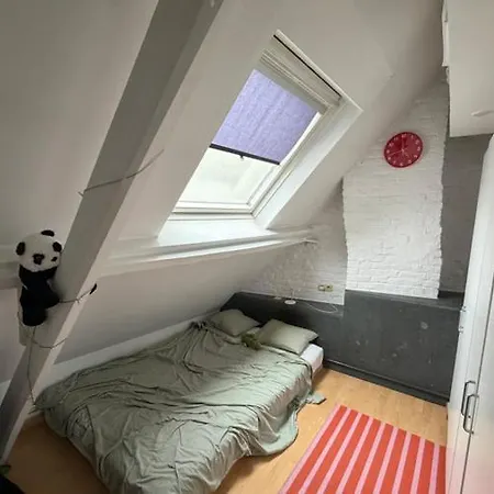 Apartment Wonderful Miniloft In - Next To The Park And The Station Ghent